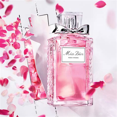 rose and roses dior 100ml|Dior rose and rose perfume.